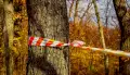Заявили об исчезновении 26 человек в Воронежской области