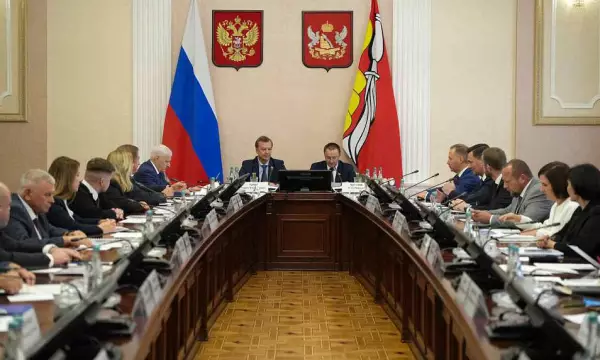 Первый вице-спикер Совета Федерации выразил поддержку проектам развития Воронежской области