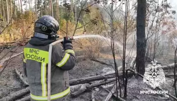В Воронеже потушили пожар на улице Миронова