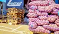 Резко подорожали капуста и картошка в Воронежской области