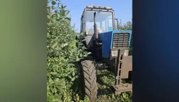 В Воронежской области на садовом участке тракторист насмерть сбил пешехода