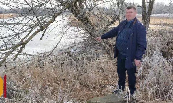 В селе Переволочное Воронежской области бобры повредили плотину пруда