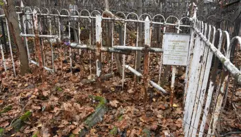 Главное за ночь. Медведь раскапывает могилы, с мужчины сняли обвинение после измерения его пениса.