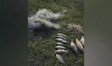Воронежские полицейские задержали браконьера, наловившего рыбы на 23 тыс рублей