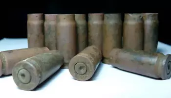 В Таловском районе поисковики нашли в лесу 12 гильз времен ВОВ
