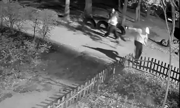 На улице Артамонова в Воронеже подростки разгромили двор