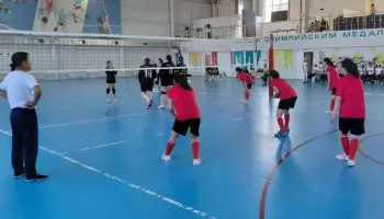 Нижнедевицкие спортсменки сыграли с корейскими волейболистками