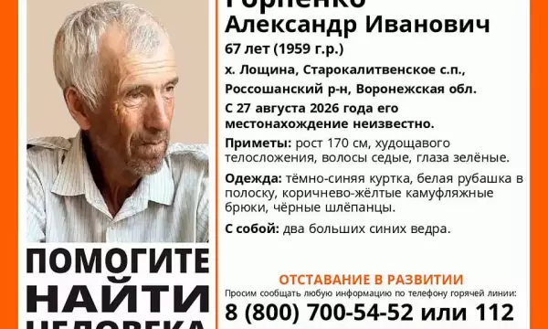 Пожилой мужчина в шлепанцах и камуфляже пропал в Россошанском районе