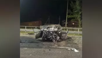В Воронежской области водитель Mitsubishi сбил козу, врезался в фуру и погиб