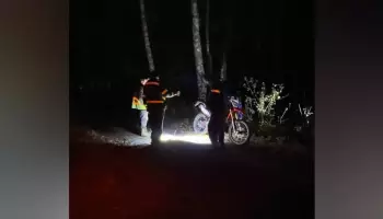 Туман и дикие животные: волонтеры рассказали о поисках 49‑летнего воронежца, который ушел за грибами