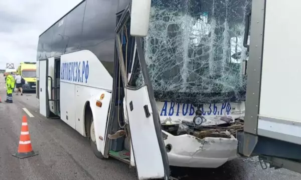 В Воронежской области рейсовый автобус врезался в фуру: пострадали 12 человек
