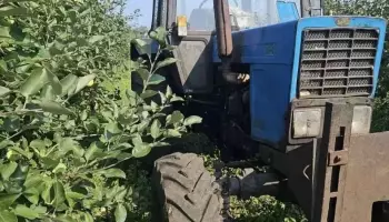 Тракторист насмерть задавил пенсионера в саду под Воронежем