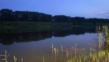 В воронежском селе подросток утонул на глазах у отца