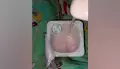 Под Воронежем многодетная мать обнаружила в купленных йогуртах волосы и таблетки