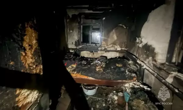 Спасатели опубликовали фото с места пожара в воронежском селе, унёсшего жизнь мужчины