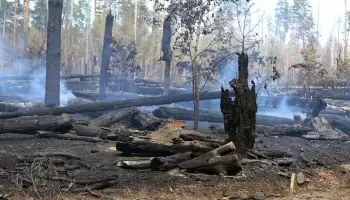 Главное за ночь. Труп пролежал в автомобиле 4 дня , в Геленджике из-за падения БПЛА загорелся лес.