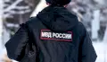 Главное за ночь. Под Воронежем задержали московского расчленителя, в аэропорту Шереметьево мать задушила новорождённого и умерла сама.