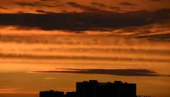 Планы на метробус и смертельное ДТП. Главные новости Воронежа и области за 25 августа
