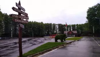 Под Воронежем территорию Центра лыжной подготовки &laquo;Дубрава&raquo; обработают от клещей