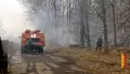 В Богучарском районе Воронежской области установили чрезвычайную степень пожароопасности