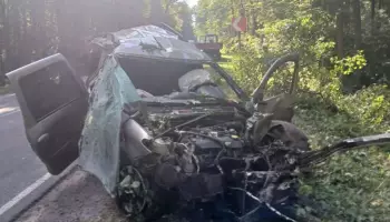 В Воронежской области &laquo;Лада&raquo; вылетела с дороги: погибли 2 человека