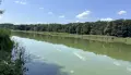 Воронежские экоактивисты пожаловались на пересыхающее озеро Чистый Ильмень