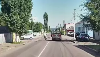 Юному воронежскому питбайкеру, вылетевшему на встречку и тротуар в Боброве, грозит крупный штраф