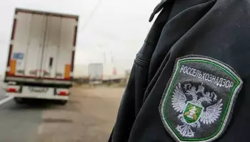 Туши на крюках и мясо, сваленное в кучу: в Воронежской области остановили грузовик с 882 кг опасной свинины