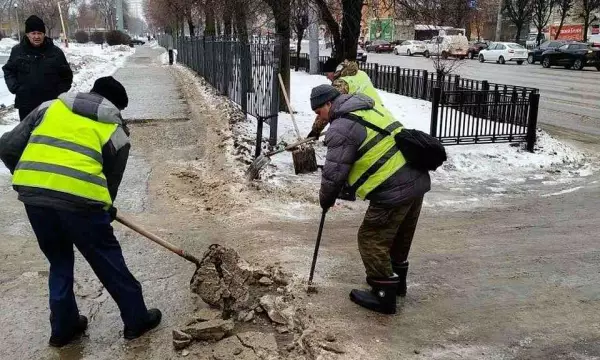 В топ дефицитных профессий Воронежской области в июле 2026 года вошли врач, повар и дворник