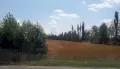 Каждый третий земельный участок в Воронеже используют с нарушениями
