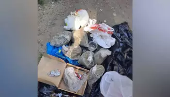 Воронежец торговал марихуаной на территории предприятия в Советском районе