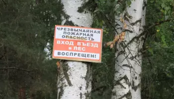 Власти Воронежской области вводят запрет на въезд в леса