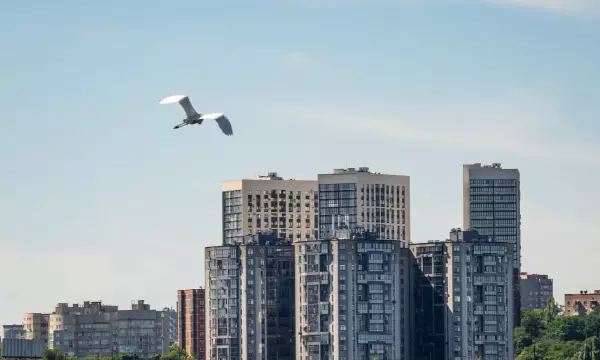 Мёртвая пробка и сокращение крымских поездов. Главные новости Воронежа и области за 10 июня