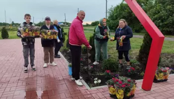 В панинском селе Сергеевка высадили 100 роз