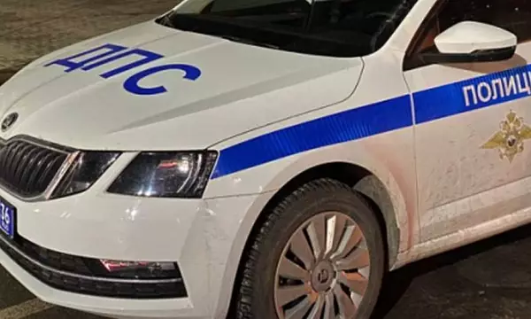 В Воронеже дерево упало на машину и перегородило проезд на улице Депутатской