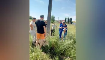 Воронежские полицейские нашли в траве на окраине поселка пропавшую 79-летнюю пенсионерку