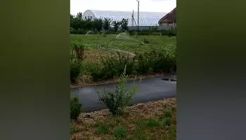 В сквере Кантемировки оборудовали автополив растений