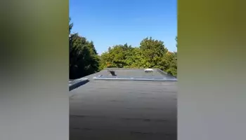 В школе каширского села Боево досрочно завершили ремонт крыши