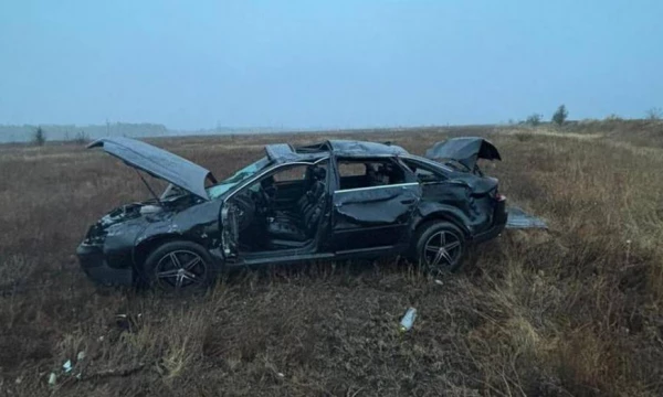 Водитель и пассажир Audi погибли в страшном ДТП в Воронежской области
