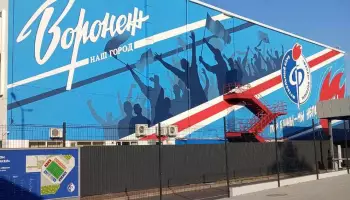Ошибочным признали назначение пенальти в ворота &laquo;Факела&raquo; в матче с &laquo;Балтикой&raquo;