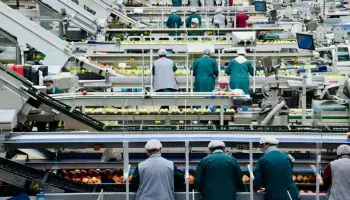 Под Воронежем планируют построить кластер для пищевых производств за 200 млн рублей
