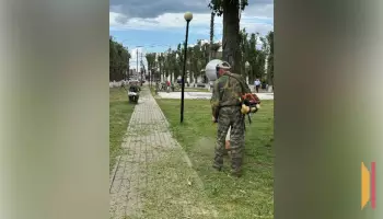 От гранта к преображению: как ТОСы Бутурлиновского района меняют свои территории к лучшему
