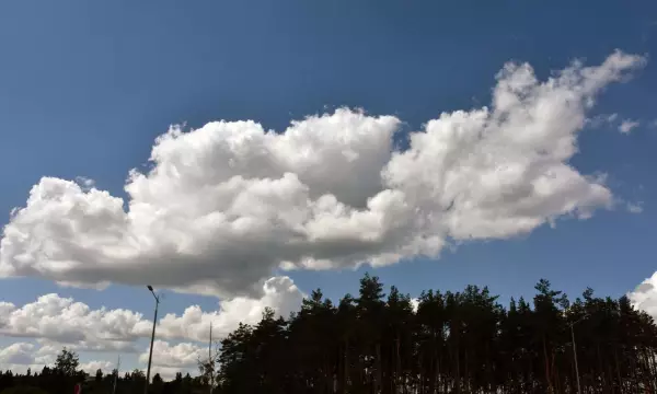 Атака БПЛА и гибель журналиста. Главные новости Воронежа и области за 19 августа