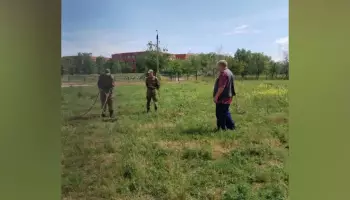 В Богучаре высадили более 80 саженцев дуба