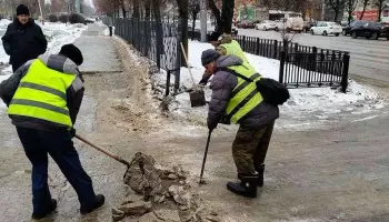 В топ дефицитных профессий Воронежской области в июле 2026 года вошли врач, повар и дворник