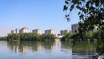 Избиение школьницы и смерть дочери депутата. Главные новости Воронежа и области за 7 сентября