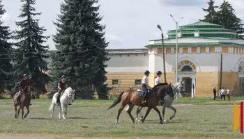 В Бобровском районе отпразднуют 250-летие Хреновского конезавода