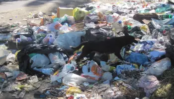 За неубранный в воронежском дворе мусор оштрафуют &laquo;Экотехнологии&raquo;