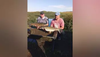 В Панинском районе прошел &laquo;карповый марафон&raquo;