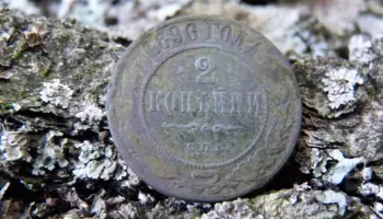 В Таловском районе нашли медную монету Российской империи